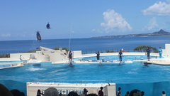 美ら海水族館.JPG